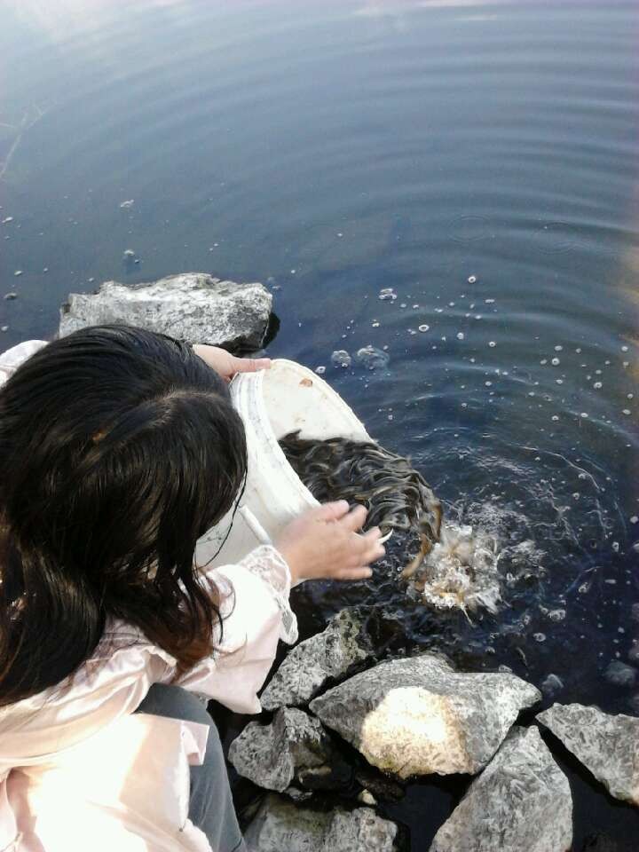 13年农历7月29霍林郭勒市部分佛友放生泥鳅鱼