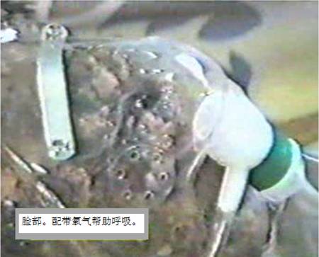 在资讯发达的表面,隐藏着不为人知的一面(惊栗