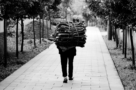 寂静法师:放下即自在