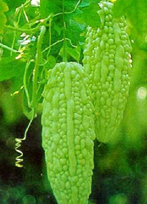 酸甜苦辣咸臭分别代表什么营养-学佛网