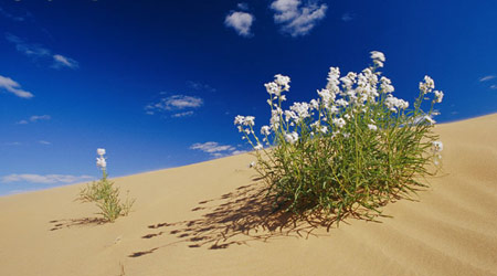 别样人生:尝试着活下去