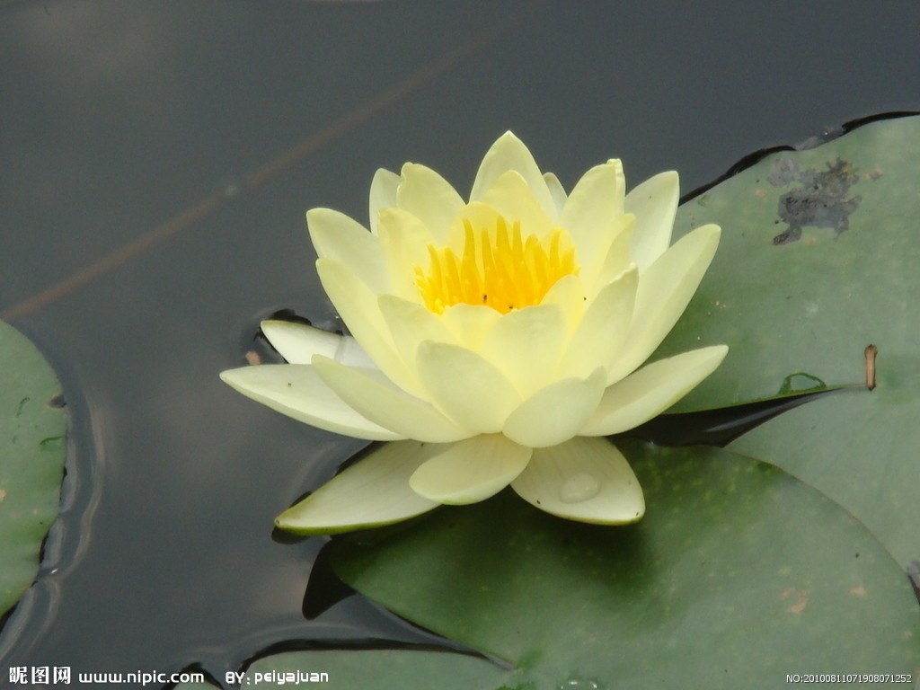 不要埋怨业障,资粮就在当下-报恩与还债只是转
