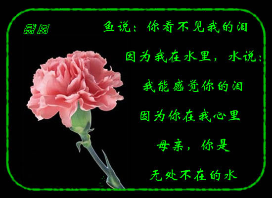 学会感恩-人生一定一帆风顺