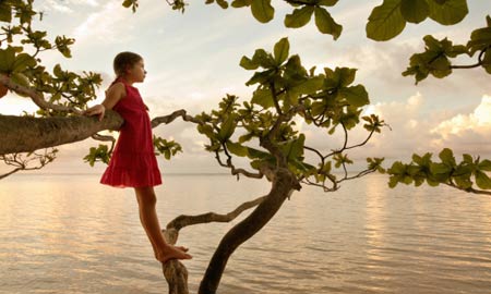 济群法师:人与自然的关系