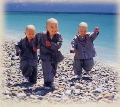 一行禅师:故道白云:等待明天