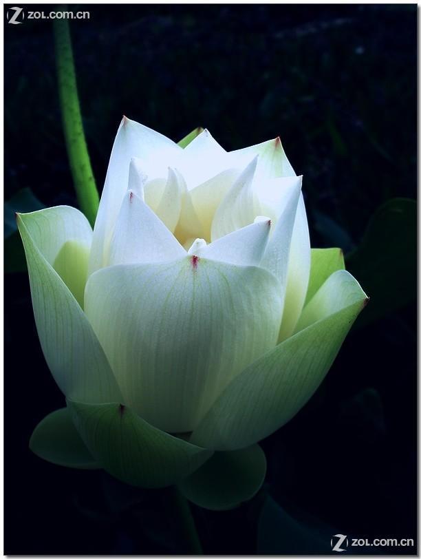 净空法师:勤修戒定慧,息灭贪瞋痴