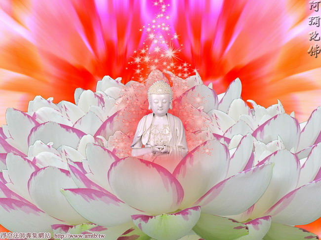 净空法师:慧远大师带着同参道友一百二十三人