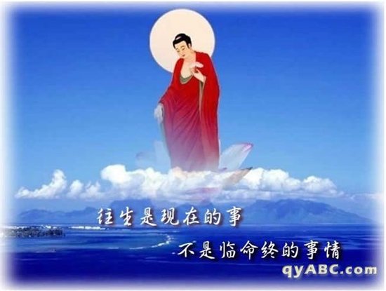 ���հ����ɣ���������������İ˸�����