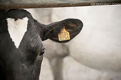 �������أ����������������ǹ�ȥ���������Ե