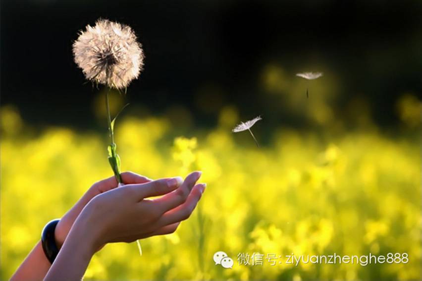 一切随风去,世间自在人!--学佛网