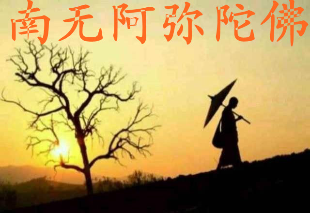 Ϊʲô��֮����������Ҳ��