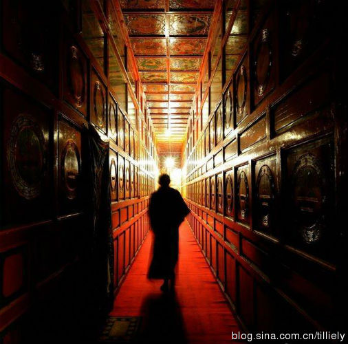 一位比利时博士的学佛之路--飞向全世界的佛法