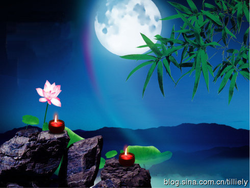 一位美国密歇根大学生物统计学博士的学佛之路