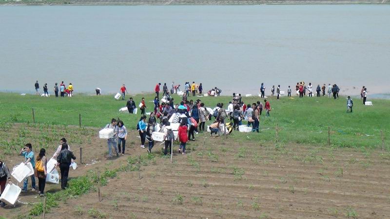 虔诚放生,顺利通过入职体检--海之通的空间、学