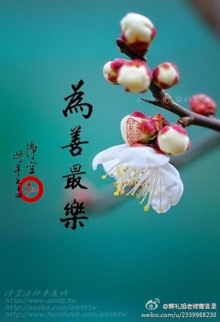 0.jpg 诠释现代的高贵:女人是家庭最重要的风水 - 极乐妙音 - 弥陀我慈父,极乐我本乡;
