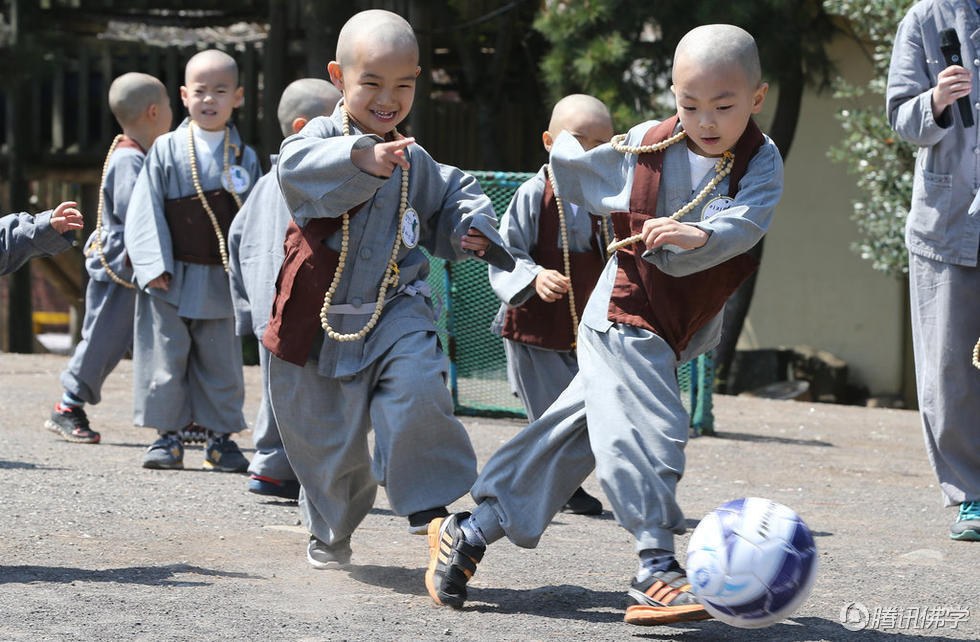 组图:韩国寺院举办足球比赛小和尚开踢--仁德的