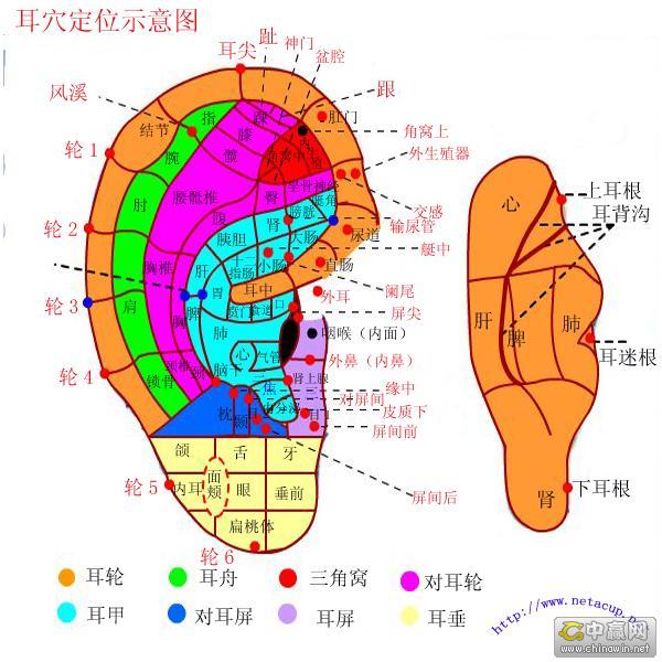 告诉您一个治颈椎病的小秘方--sunny的空间、