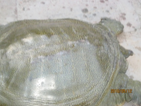 按此在新窗口浏覽圖片