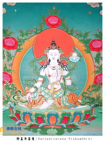 八大菩萨各自的特点是什么?